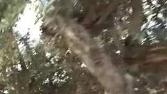 Key West sperm - Scene 5 - Factory video