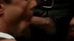 gay Sex bondman