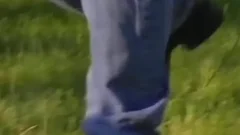 hoety Muscled gay guys hardcore pooperhole\n Stuffing orgy fucking fun