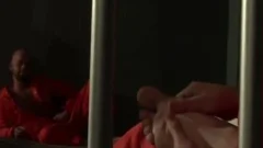 Prison Sex