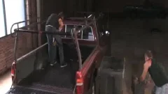 Handsome finds pleasure in threesome