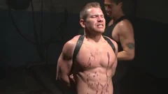 AA3_Stud willing To Endure Anything