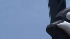 Memphis sperm - Scene 4