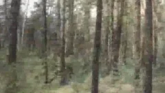 Fallen Comrade