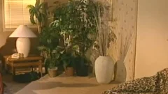 The Boxer - Scene 2