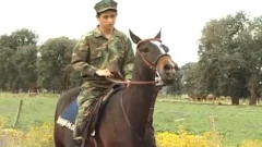 This horse won\\'t ask and he can\\'t tell