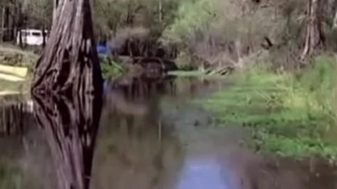 Ranger