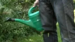 Strangers' cock #3