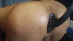 make waterpup Play!