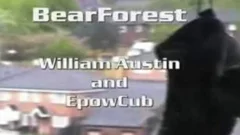 Epow Austin BrForest