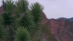 720P 1500K 49459261