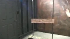 Bois At Play