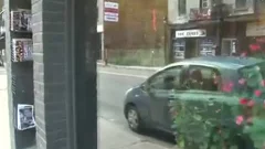 Hambre De Polla