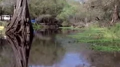 sleazy Ranger