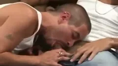 Latino Cousin