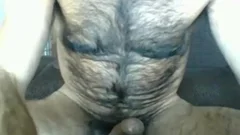 alluring bushy Daddy Cumming
