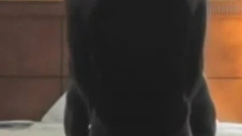 ebony Love