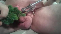 CBT