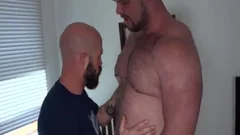 Bears slamming BB