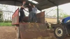 Three Chavs In  Hay Lorry