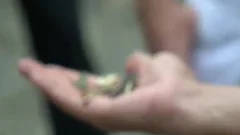 DOTFDL