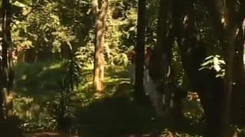 Capoeira 11 - Scene two