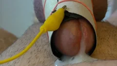Compilation Of Cumshots whilst Just Having joy With My ET-312.