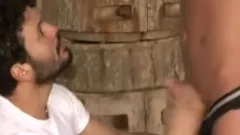 you  can't hide!