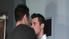 Brandon & Vincent juicy engulfing & butthole fucking