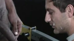 Hollywood cum Suckers 4 - Scene 2
