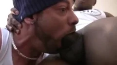 Que Foda Gostosa