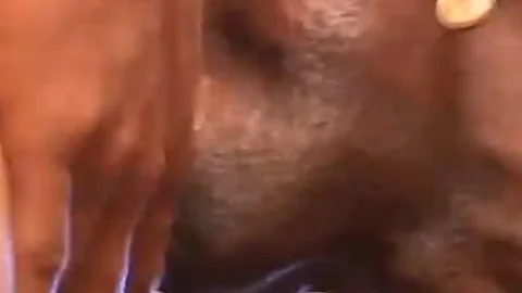 ebony dude receives assly pokeed doggy style