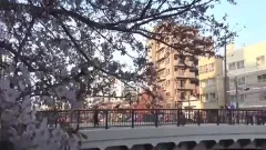 A Banana For Manabu