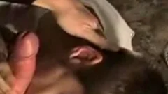 receiveting lusty