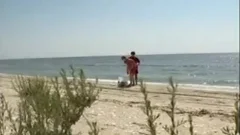 Beach boyz