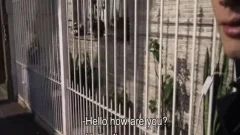 Trickster Cameraman bangs A stunning Latino ladâ€™s anal bare