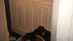 smutty Interracial twinks sucking & banging