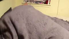 delicious homo nailing