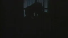 anybody Is Watching