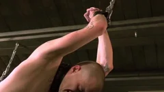 homo World Berlin Leather - Leather large Wolf Vs Axl black Part 1