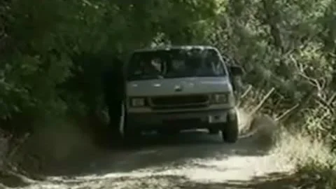 Hitchhiker    -  Nial