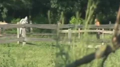 Hairy hunk hardcore threesome video
