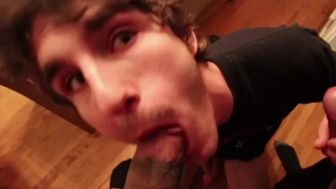 avid Eyes
