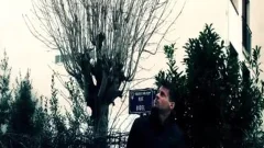 ideal Treesome