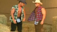 Roll In The Hay