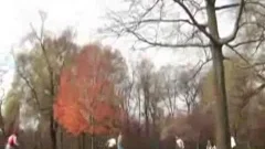 Chad Hunt plowing