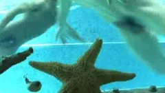 Pool Sex : My Brother's fine friend