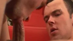The nude Story Of A Red Sofa - Scene 4 - All Male Studio