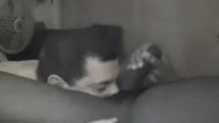 engulfing penis