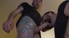 Teddy Likes  massive penis